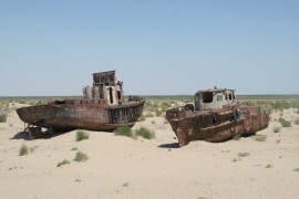 Ships, Moynak